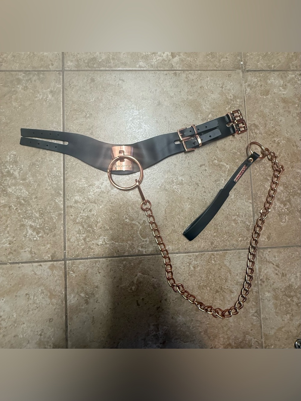 Coquette collar and leash